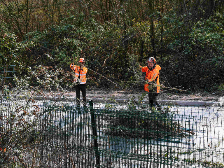  les collaborateurs d'IDEX ont participé à un chantier nature participatif sur le centre de valorisation énergétique de Villers-Saint-Paul